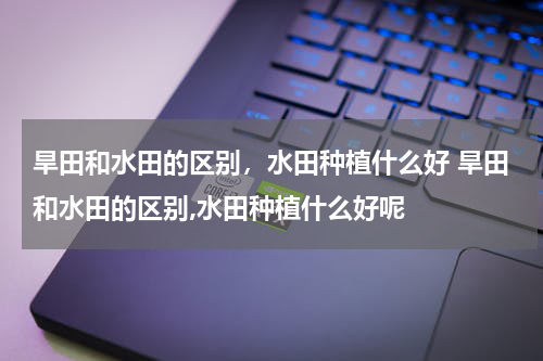 旱田和水田的区别，水田种植什么好 旱田和水田的区别,水田种植什么好呢