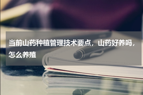 当前山药种植管理技术要点，山药好养吗，怎么养殖