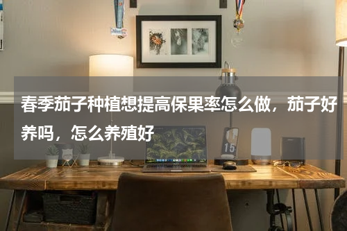 春季茄子种植想提高保果率怎么做，茄子好养吗，怎么养殖好