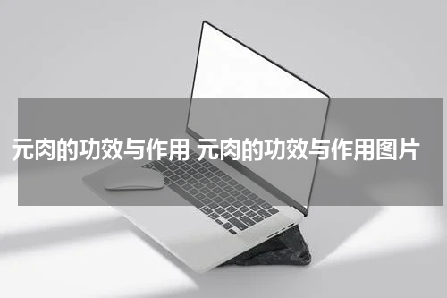 元肉的功效与作用 元肉的功效与作用图片