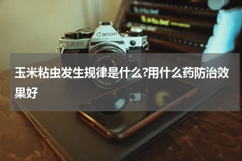 玉米粘虫发生规律是什么?用什么药防治效果好