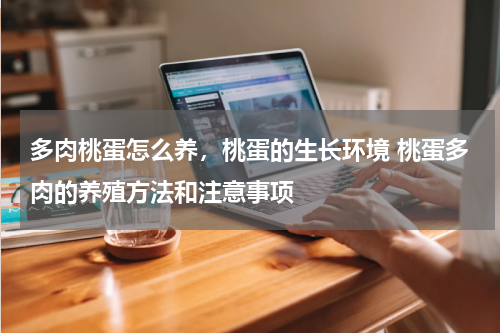 多肉桃蛋怎么养，桃蛋的生长环境 桃蛋多肉的养殖方法和注意事项