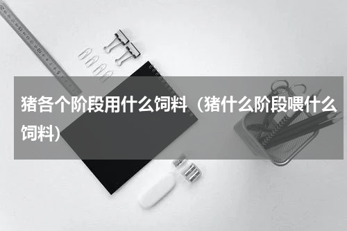 猪各个阶段用什么饲料（猪什么阶段喂什么饲料）