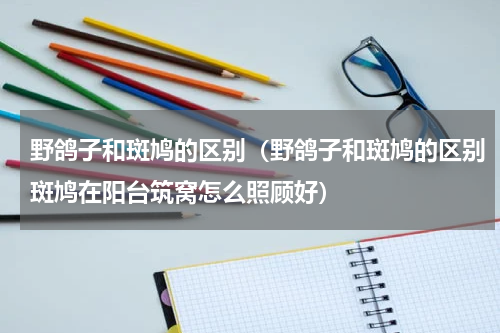 野鸽子和斑鸠的区别（野鸽子和斑鸠的区别斑鸠在阳台筑窝怎么照顾好）