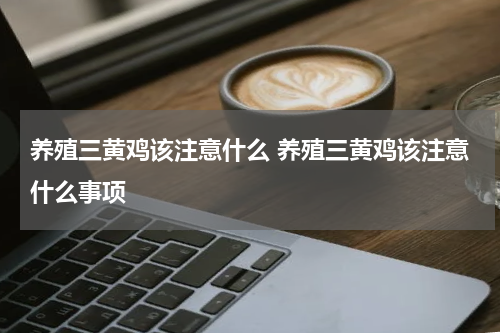 养殖三黄鸡该注意什么 养殖三黄鸡该注意什么事项