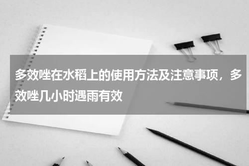 多效唑在水稻上的使用方法及注意事项，多效唑几小时遇雨有效