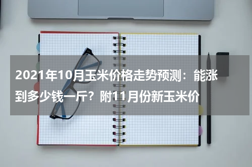 2021年10月玉米价格走势预测：能涨到多少钱一斤？附11月份新玉米价