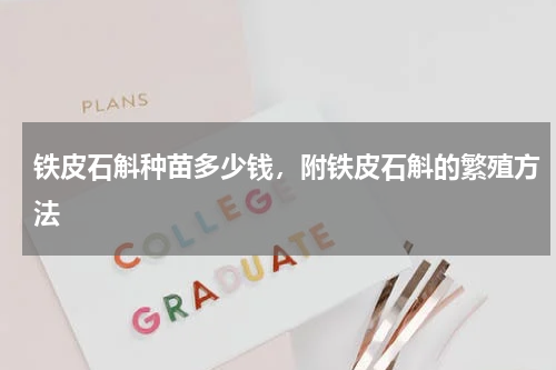 铁皮石斛种苗多少钱，附铁皮石斛的繁殖方法