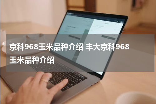 京科968玉米品种介绍 丰大京科968玉米品种介绍