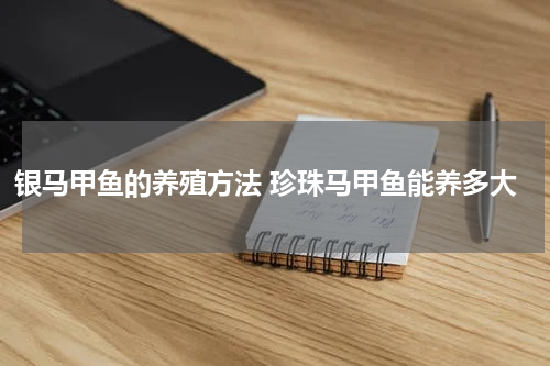 银马甲鱼的养殖方法 珍珠马甲鱼能养多大