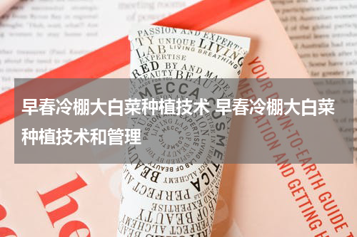 早春冷棚大白菜种植技术 早春冷棚大白菜种植技术和管理