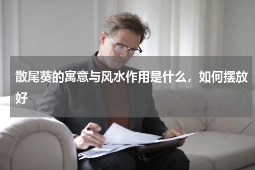散尾葵的寓意与风水作用是什么，如何摆放好