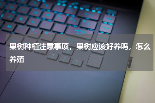 果树种植注意事项，果树应该好养吗，怎么养殖