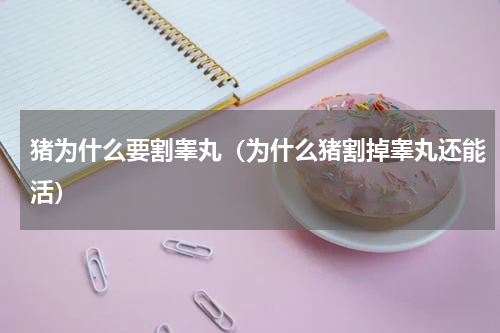 猪为什么要割睾丸（为什么猪割掉睾丸还能活）