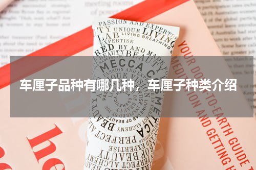 车厘子品种有哪几种，车厘子种类介绍