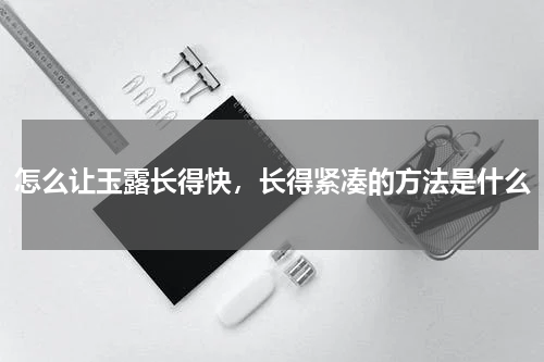 怎么让玉露长得快，长得紧凑的方法是什么