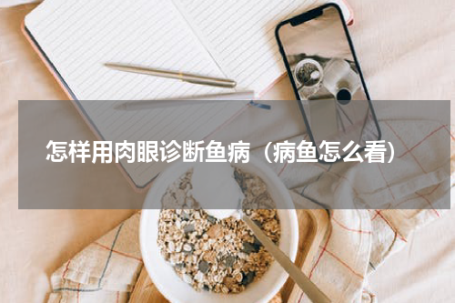 怎样用肉眼诊断鱼病（病鱼怎么看）