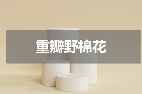 重瓣野棉花