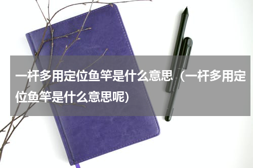 一杆多用定位鱼竿是什么意思（一杆多用定位鱼竿是什么意思呢）