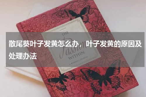 散尾葵叶子发黄怎么办，叶子发黄的原因及处理办法