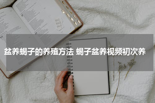 盆养蝎子的养殖方法 蝎子盆养视频初次养