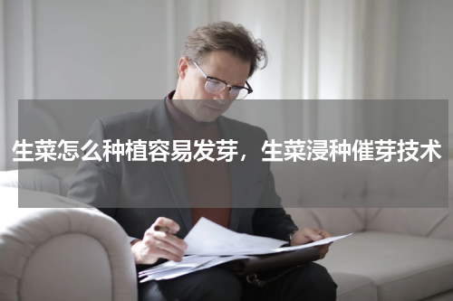 生菜怎么种植容易发芽，生菜浸种催芽技术