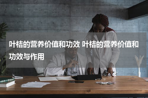 叶桔的营养价值和功效 叶桔的营养价值和功效与作用
