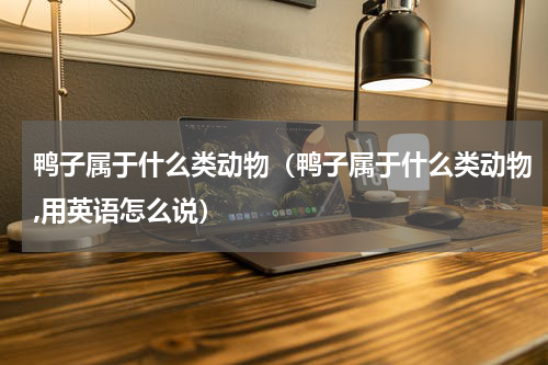 鸭子属于什么类动物（鸭子属于什么类动物,用英语怎么说）