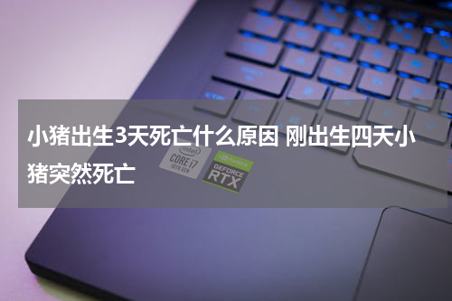 小猪出生3天死亡什么原因 刚出生四天小猪突然死亡