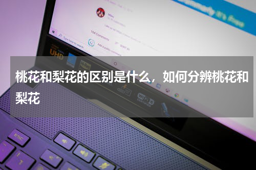 桃花和梨花的区别是什么，如何分辨桃花和梨花