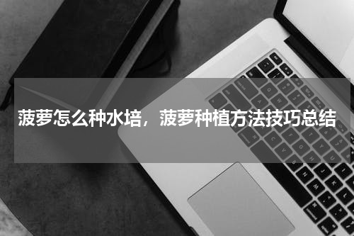 菠萝怎么种水培，菠萝种植方法技巧总结