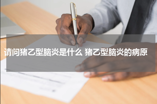 请问猪乙型脑炎是什么 猪乙型脑炎的病原
