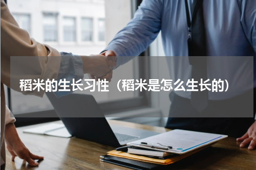 稻米的生长习性（稻米是怎么生长的）