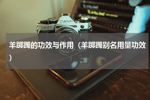 羊踯躅的功效与作用（羊踯躅别名用量功效）