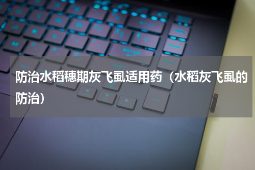 防治水稻穗期灰飞虱适用药（水稻灰飞虱的防治）