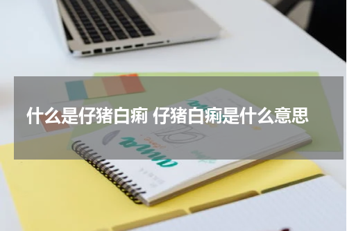 什么是仔猪白痢 仔猪白痢是什么意思