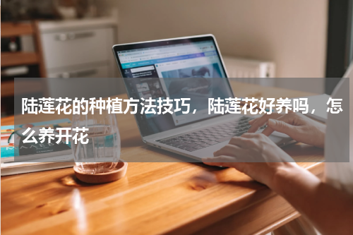 陆莲花的种植方法技巧，陆莲花好养吗，怎么养开花