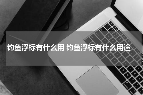 钓鱼浮标有什么用 钓鱼浮标有什么用途
