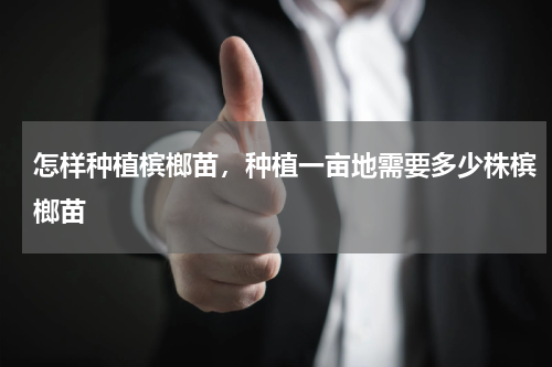 怎样种植槟榔苗，种植一亩地需要多少株槟榔苗