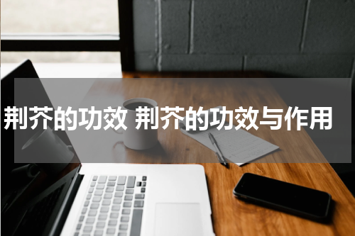 荆芥的功效 荆芥的功效与作用