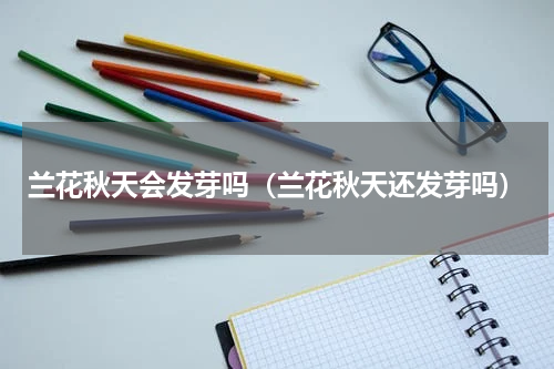 兰花秋天会发芽吗（兰花秋天还发芽吗）