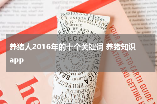 养猪人2016年的十个关键词 养猪知识app