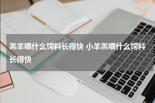 羔羊喂什么饲料长得快 小羊羔喂什么饲料长得快