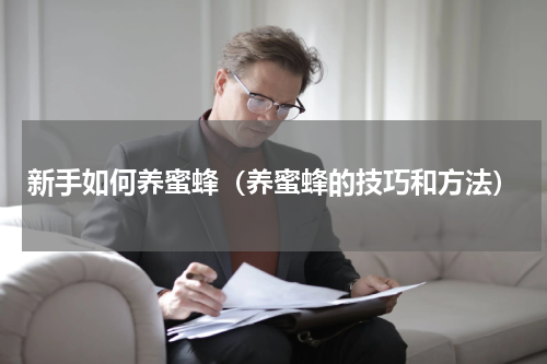 新手如何养蜜蜂（养蜜蜂的技巧和方法）