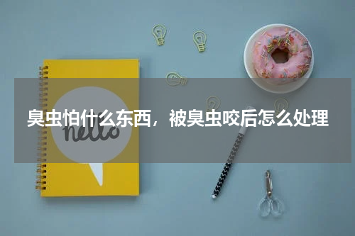 臭虫怕什么东西，被臭虫咬后怎么处理