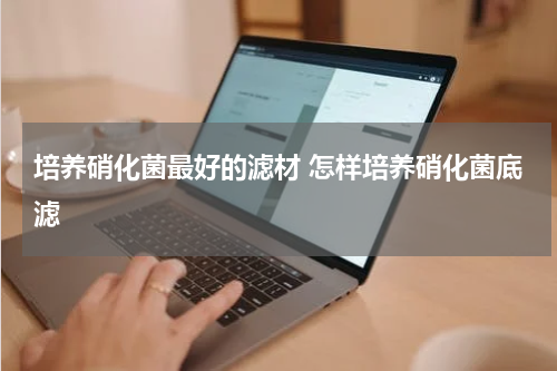 培养硝化菌最好的滤材 怎样培养硝化菌底滤