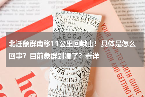 北迁象群南移11公里回峨山！具体是怎么回事？目前象群到哪了？看详