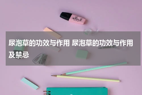 尿泡草的功效与作用 尿泡草的功效与作用及禁忌