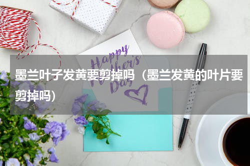 墨兰叶子发黄要剪掉吗（墨兰发黄的叶片要剪掉吗）
