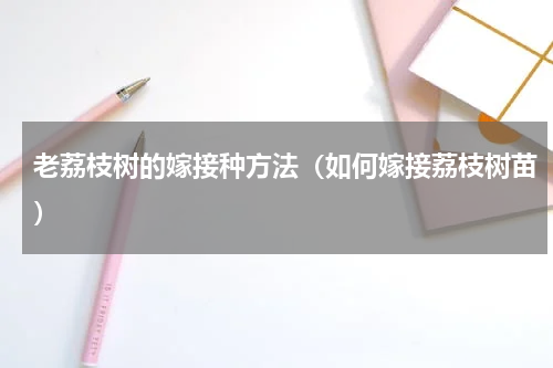 老荔枝树的嫁接种方法（如何嫁接荔枝树苗）